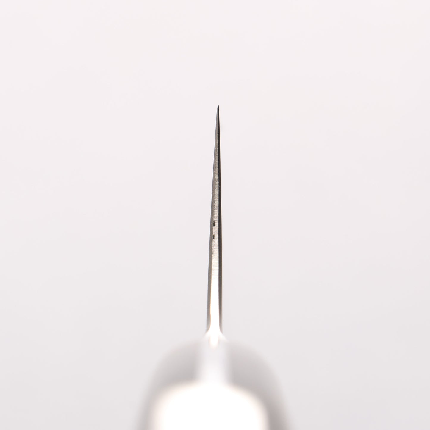 佳人 ZDP189 ダマスカス 磨き仕上げ 切付牛刀包丁 210mm 花林瘤インレイ柄