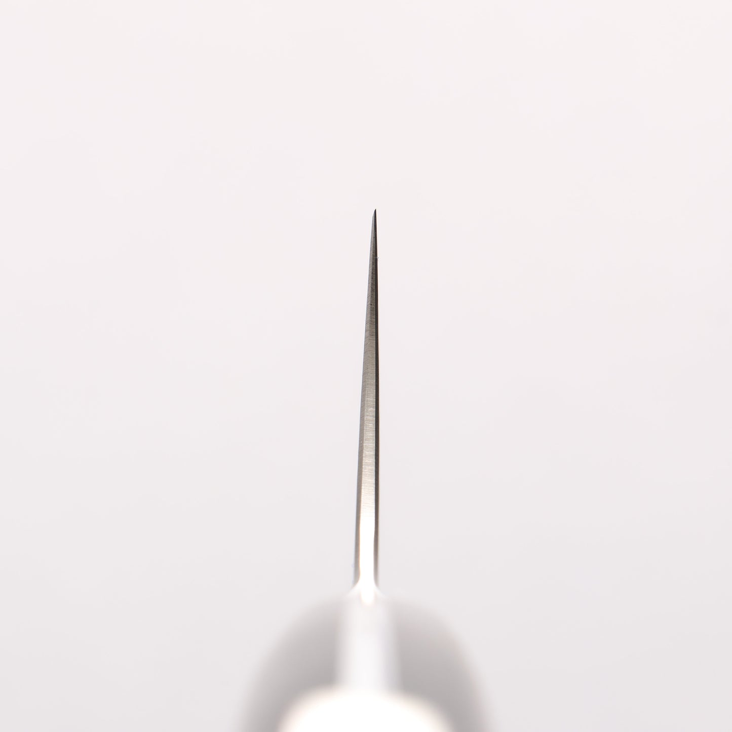 佳人 ZDP189 ダマスカス 磨き仕上げ 牛刀包丁 210mm 花林瘤インレイ柄
