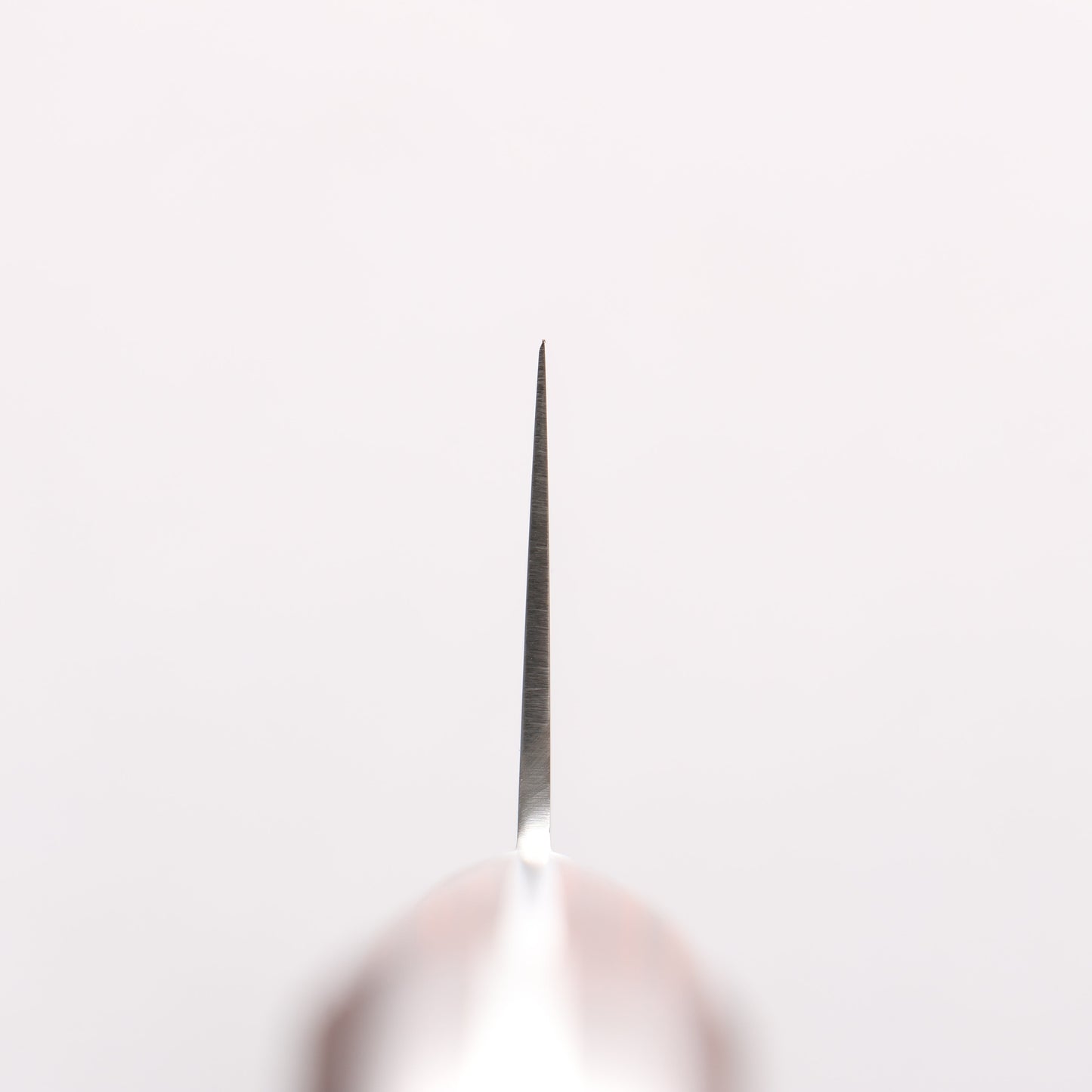 清助 V金10号 切付牛刀包丁 210mm マホガニー柄 - 清助刃物