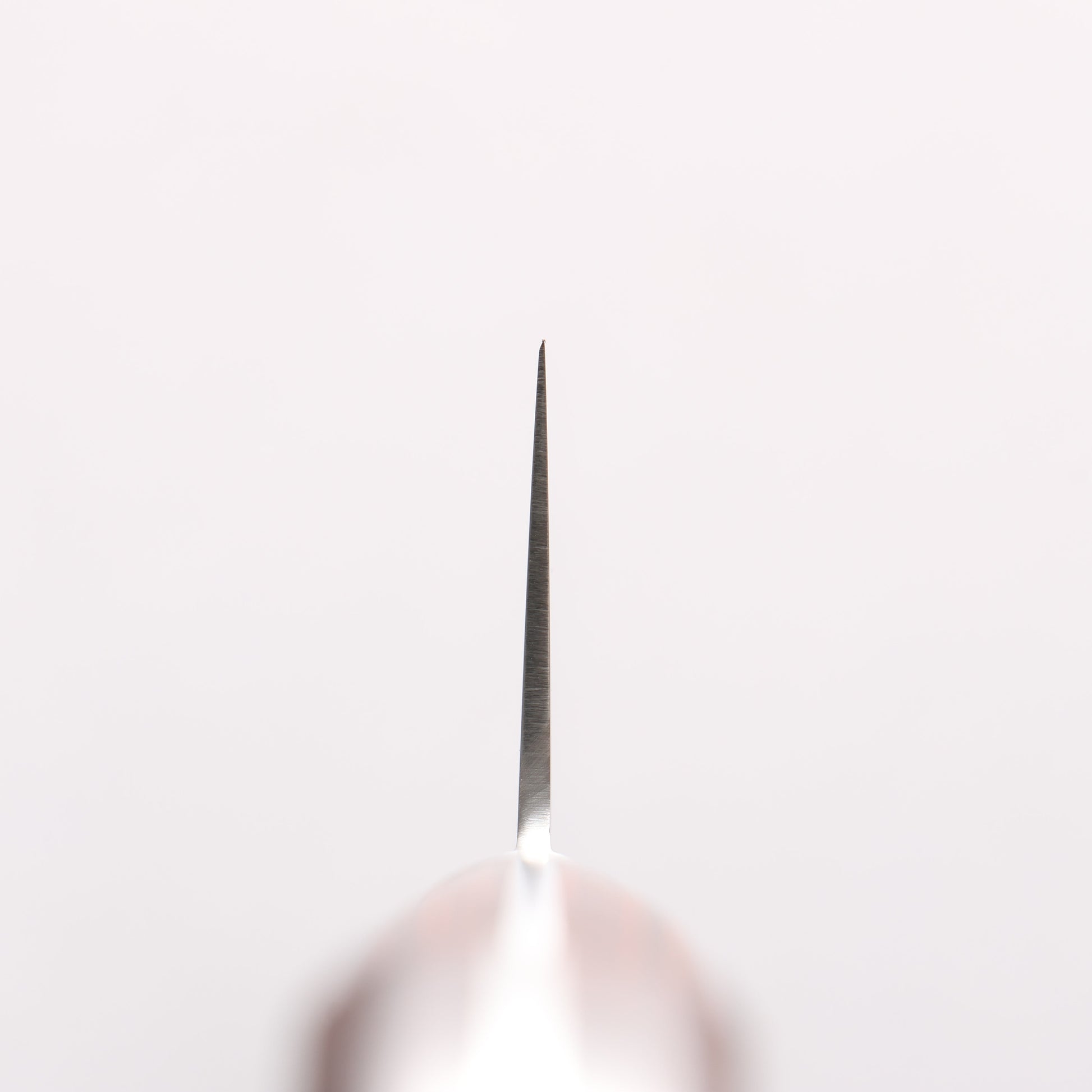 清助 V金10号 切付牛刀包丁 210mm マホガニー柄 - 清助刃物