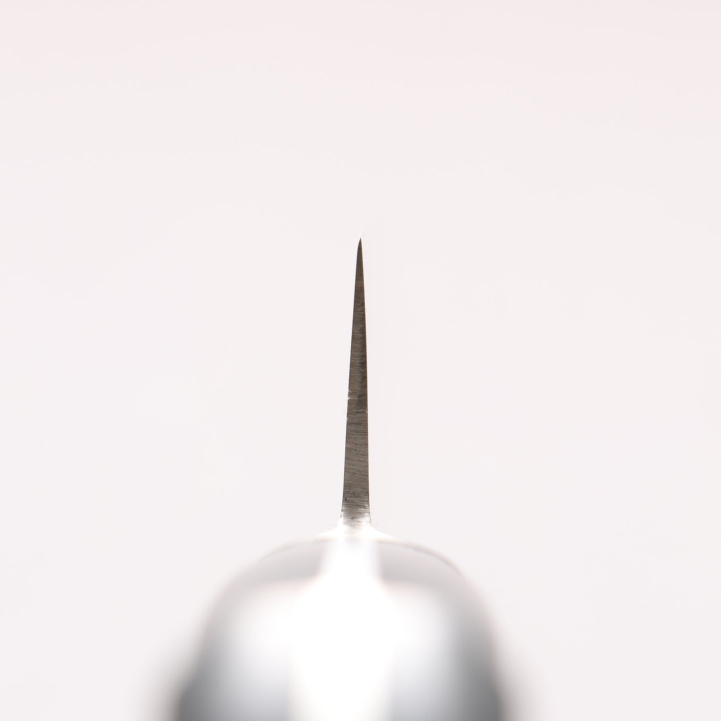 ミソノ スウェーデン鋼 龍の彫刻入り 筋引包丁 - 清助刃物