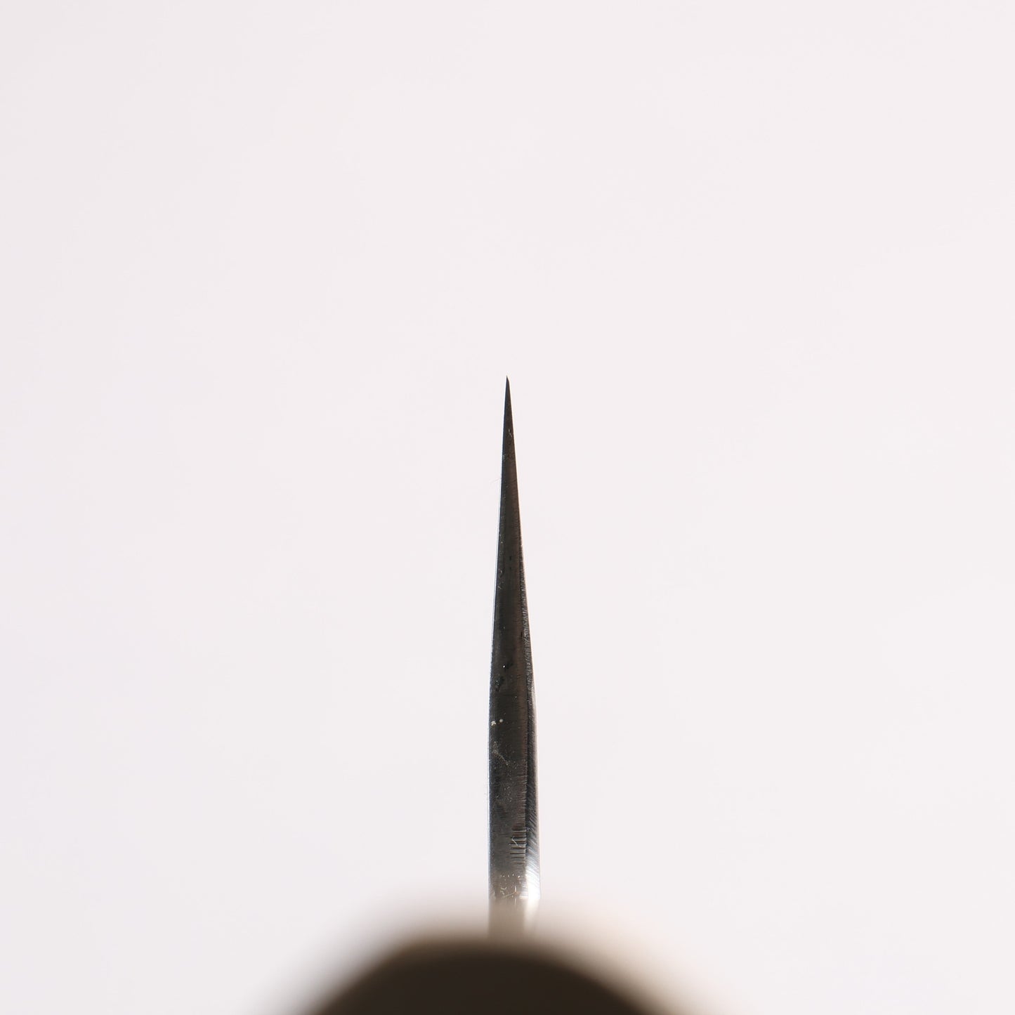 堺 菊守 白一鋼 牛刀包丁 210mm 朴 (口輪:水牛)柄