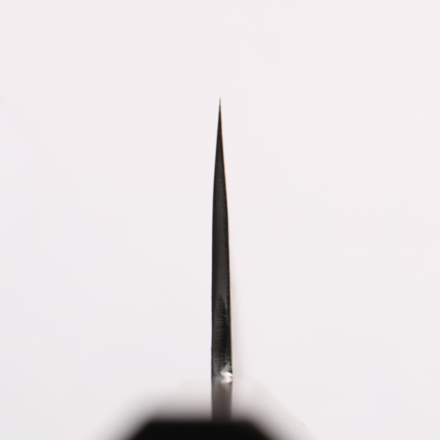 田中 誠貴 鉄火 青ニ鋼 黒打 鎚目(角) 切付牛刀包丁 240mm ウォルナット柄 - 清助刃物