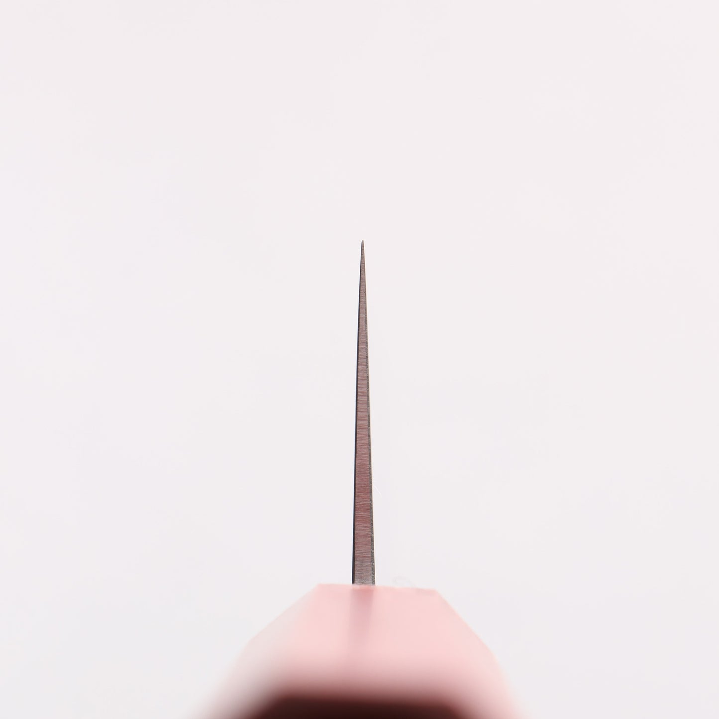 清助 青ニ鋼 切付牛刀包丁 180mm 樫 (煙赤)柄 - 清助刃物