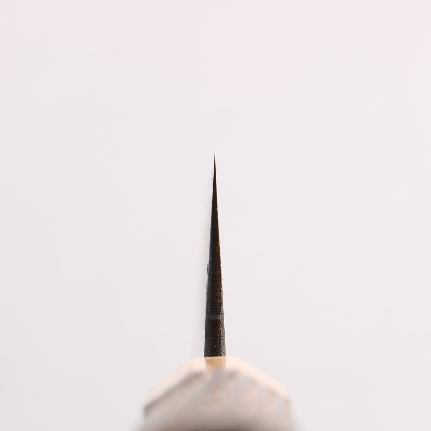 清助 青ニ鋼 黒仕上げ 小文化包丁 150mm 焼栗 (口輪:サクラ)柄 - 清助刃物