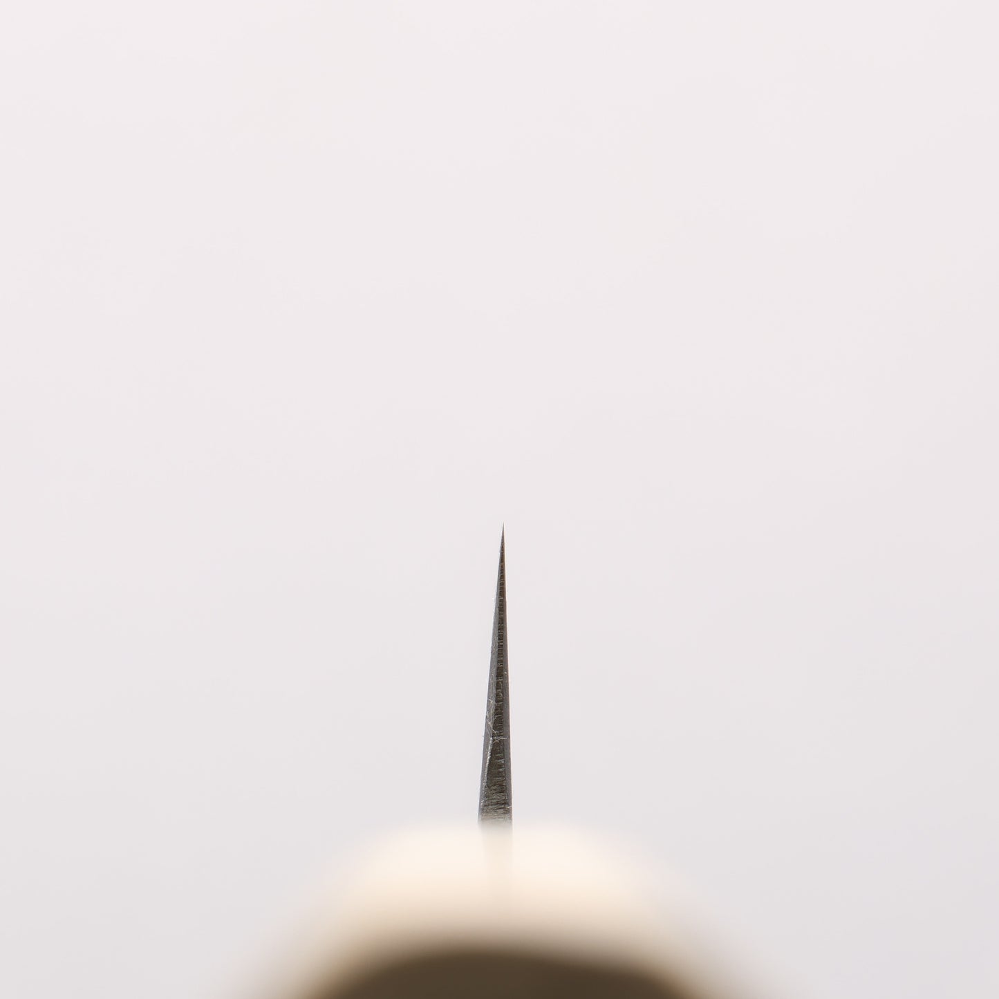 源 昭忠 白ニ鋼 ペティーナイフ 150mm 朴柄 - 清助刃物