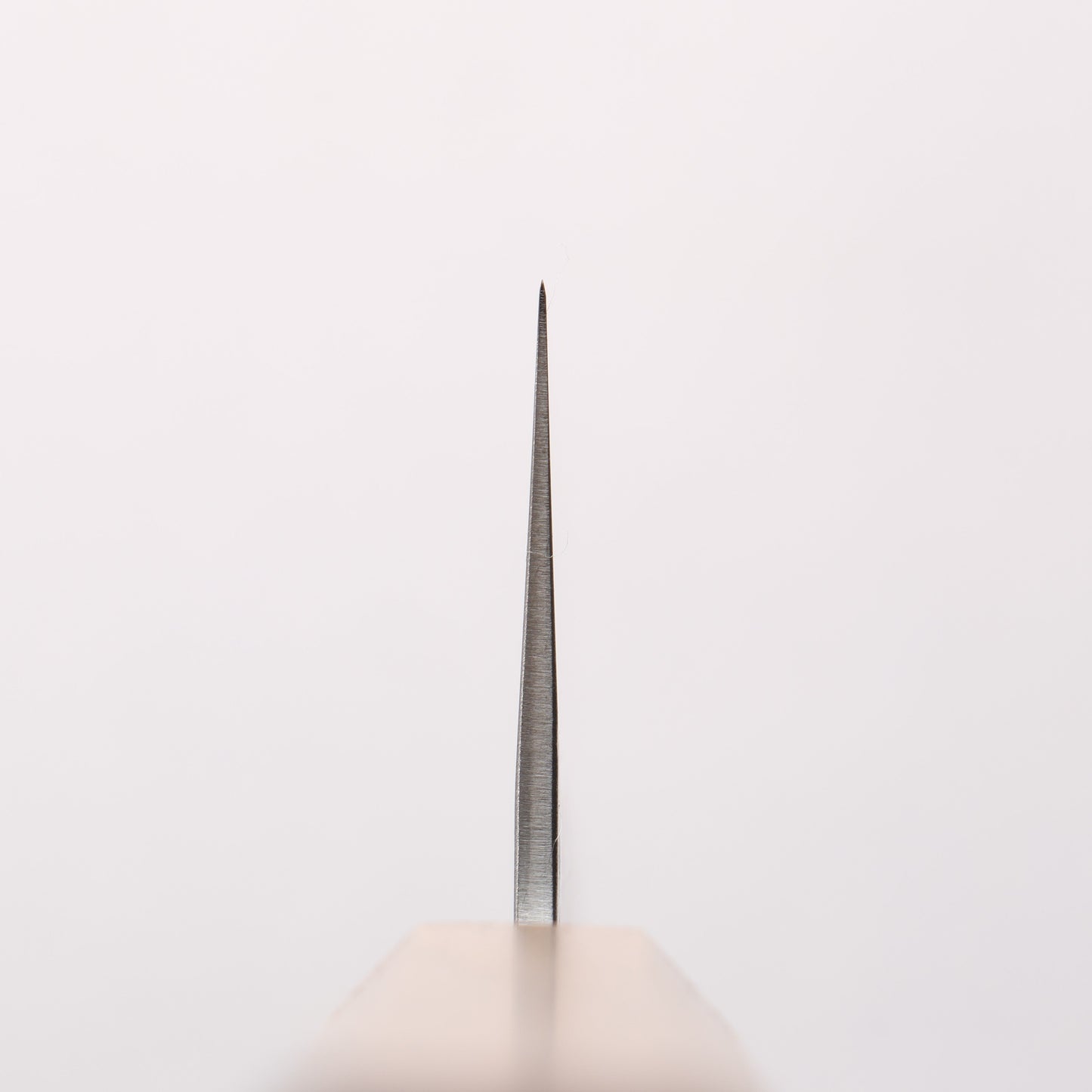 翁流 白一鋼 鎚目 牛刀包丁 240mm 樫柄 - 清助刃物