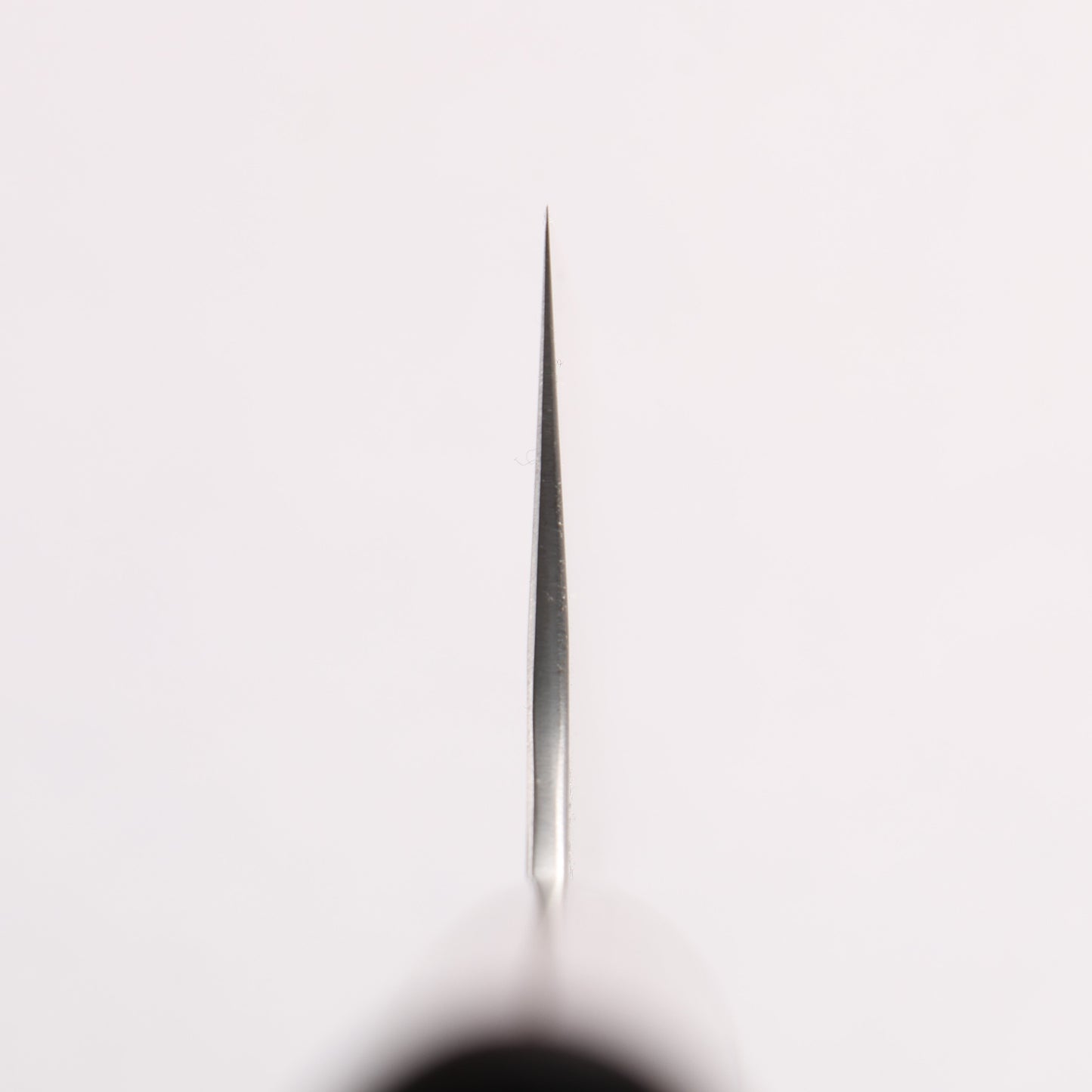 尾形 峻吾 SG2 縦目鎬横 牛刀包丁 210mm 紫檀柄 - 清助刃物