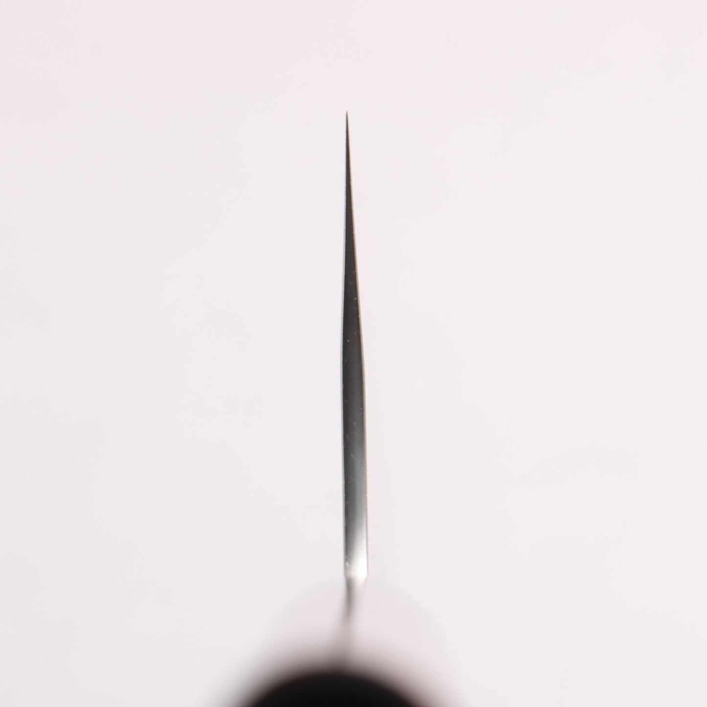 尾形 峻吾 SG2 縦目鎬横 牛刀包丁 240mm 紫檀柄 - 清助刃物