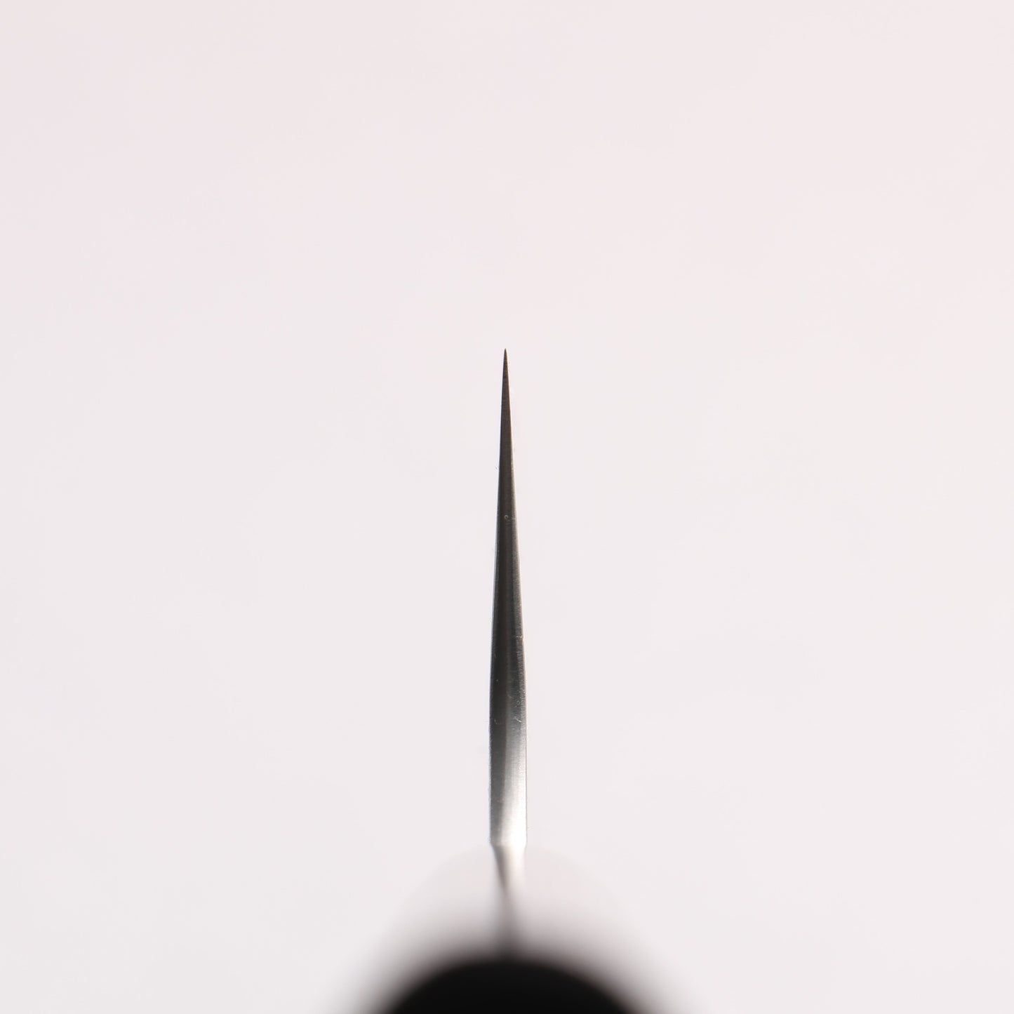 尾形 峻吾 SG2 縦目鎬横 筋引包丁 240mm 紫檀柄 - 清助刃物