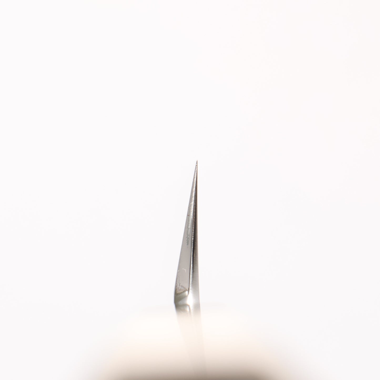 堺 菊守 V金10号 鏡面仕上げ 切付柳刃包丁 270mm 朴柄 - 清助刃物