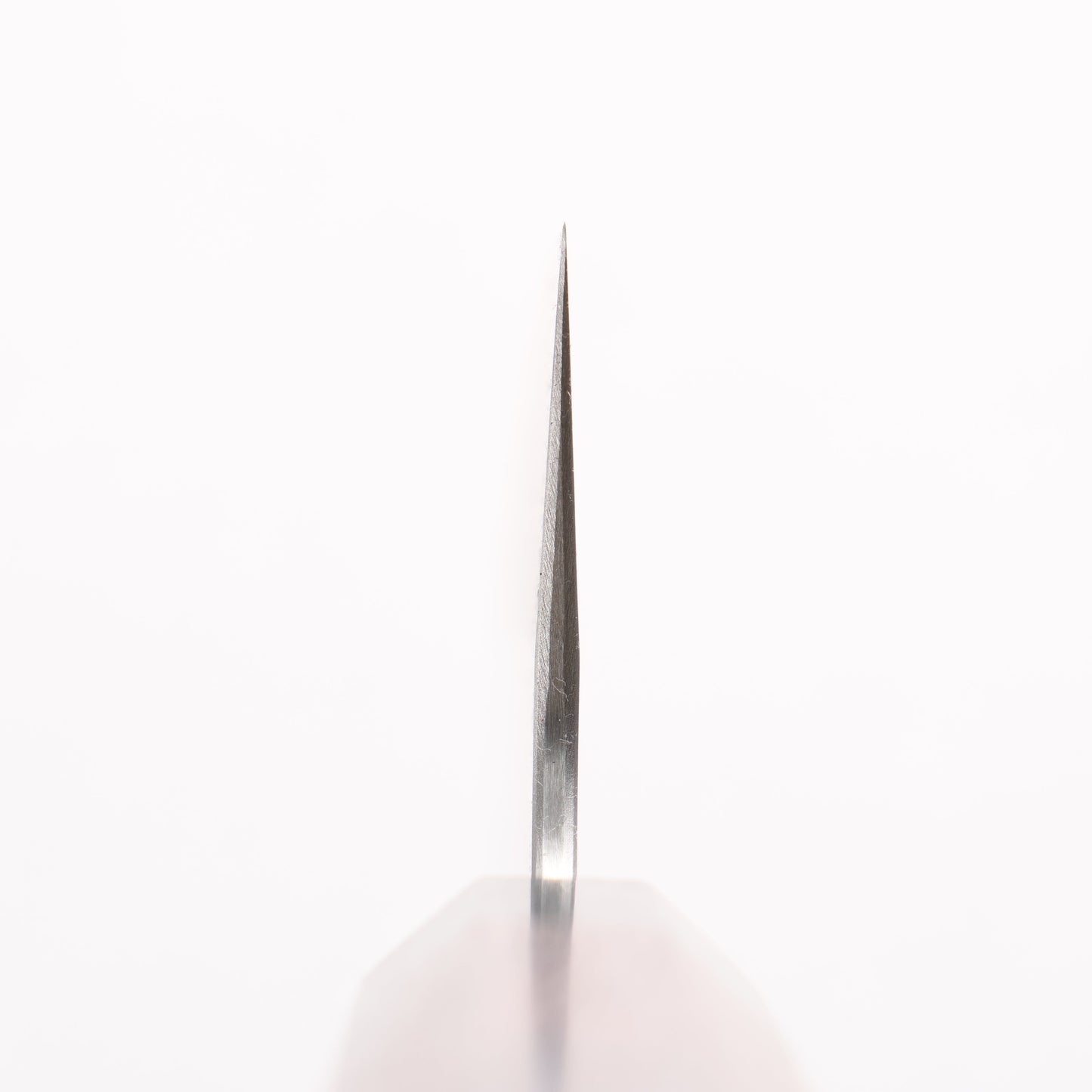 達磨 銀三鋼 切付牛刀包丁 210mm 紫檀 (口輪:黒合板)柄 - 清助刃物