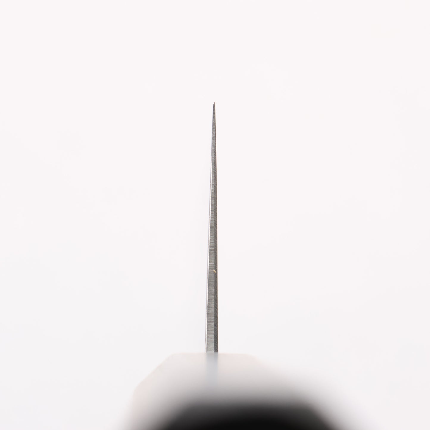 清助 SK-4鋼 牛刀包丁 240mm 樫焼 漆塗り柄 - 清助刃物