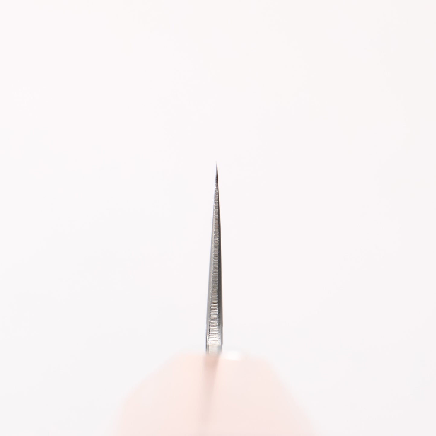 黒鳥 銀三鋼 磨き仕上げ 柳刃包丁 240mm ウォルナット柄 - 清助刃物