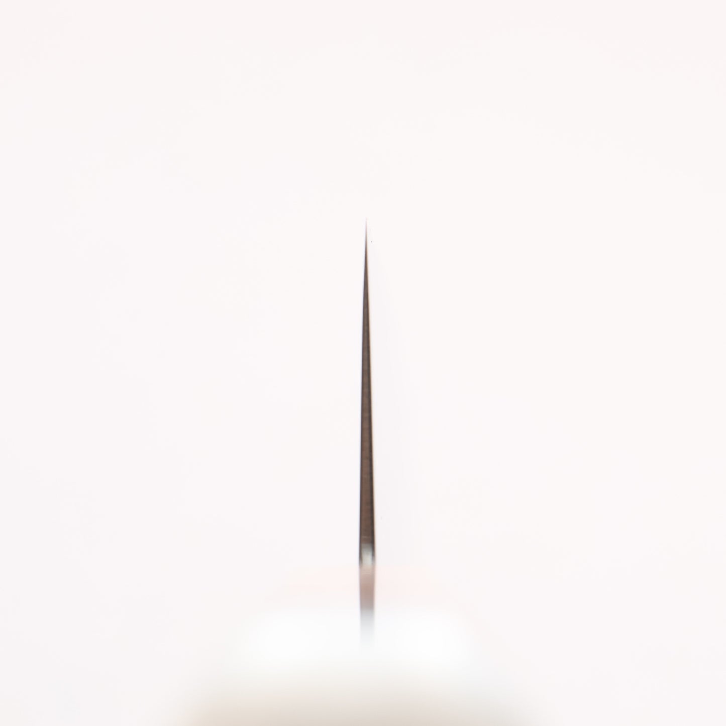 清助 V金10号 ダマスカス 牛刀包丁 210mm メープル/白樹脂柄 - 清助刃物