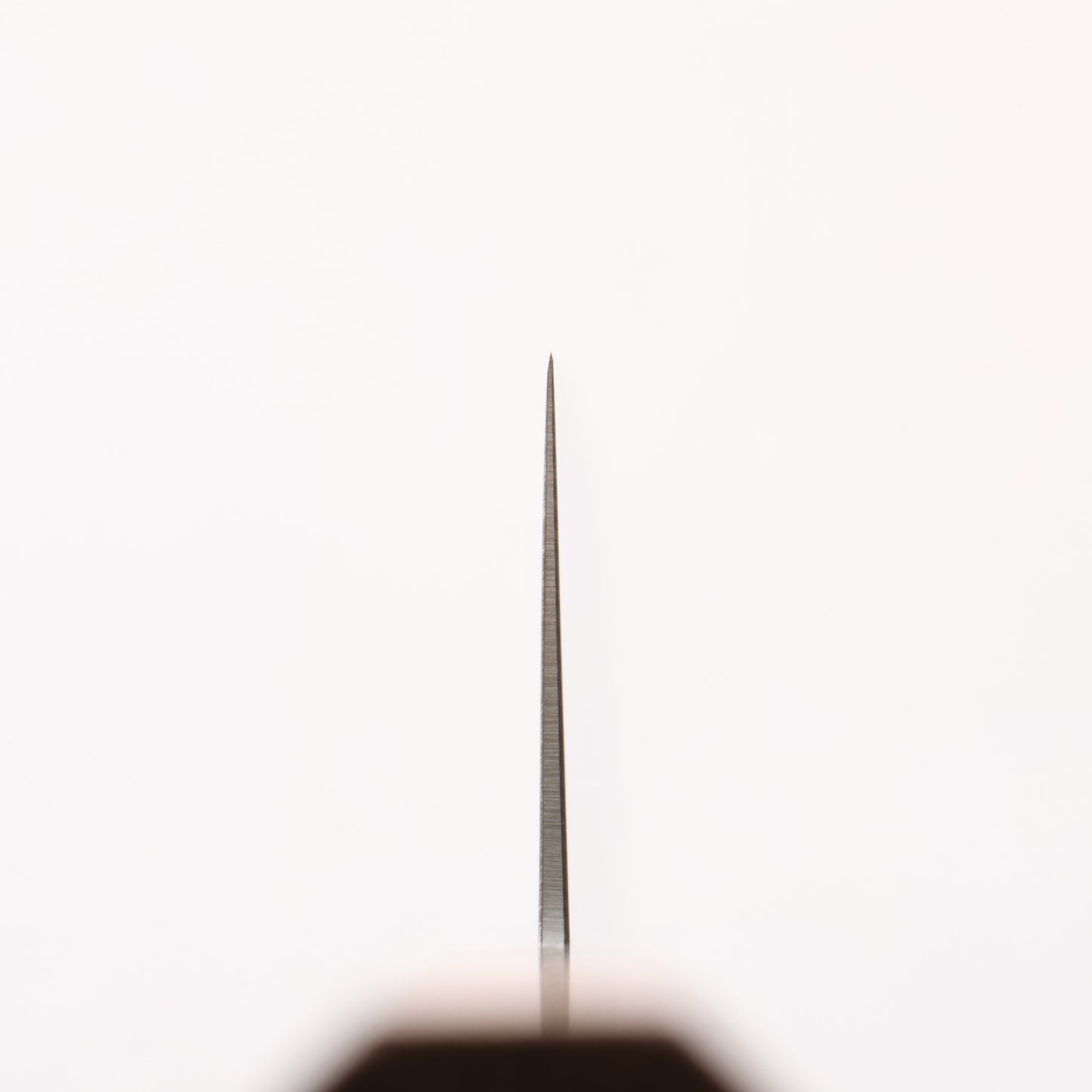 清助 ステンレス鋼 菜切包丁 160mm チーク (口輪:黒プラスチック)柄 - 清助刃物