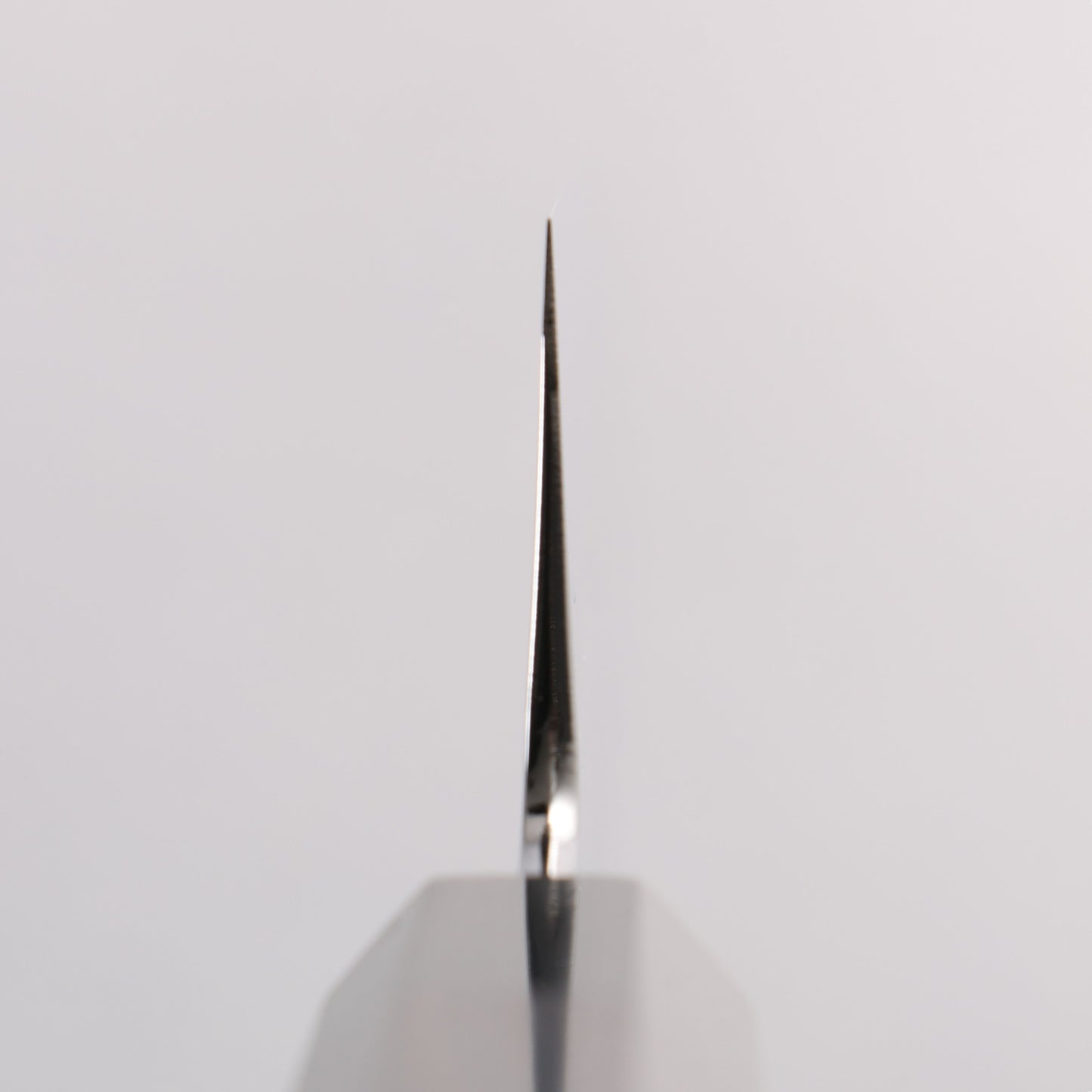 重陽 銀三鋼 鏡面仕上げ 切付牛刀包丁 210mm 黒檀 (口輪:黒水牛)柄