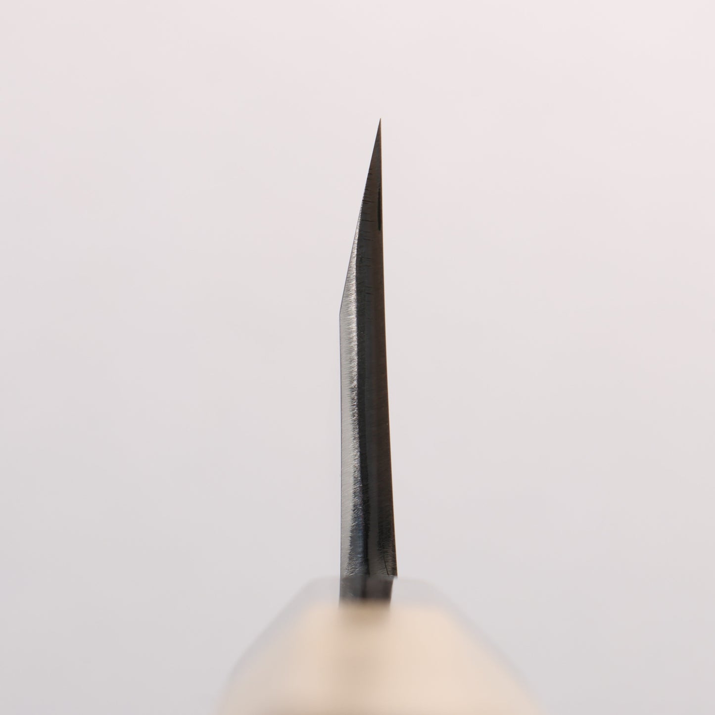 源 昭忠 白ニ鋼 相出刃 180mm 朴 (口輪:水牛)柄