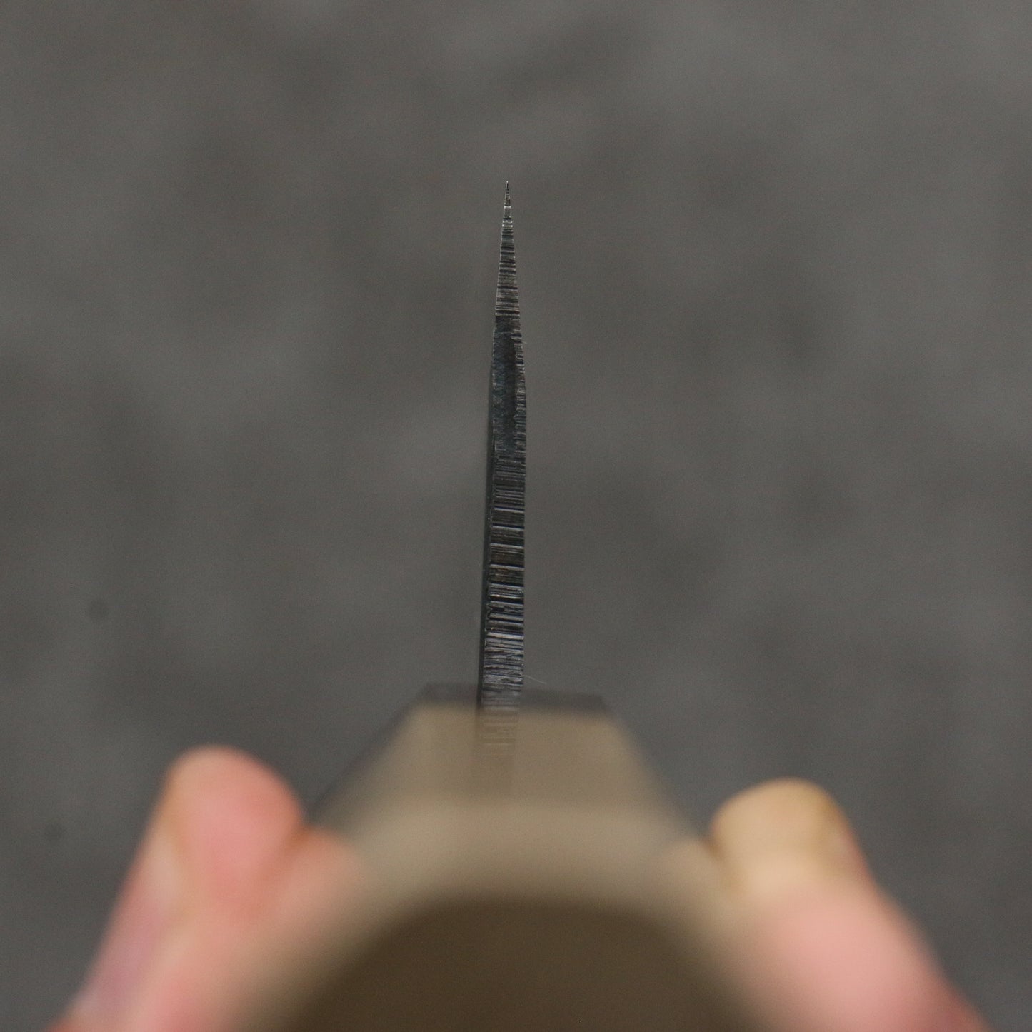 清助 青スーパー鋼 黒仕上げ 牛刀包丁 210mm 朴 (口輪:黒檀)柄 - 清助刃物