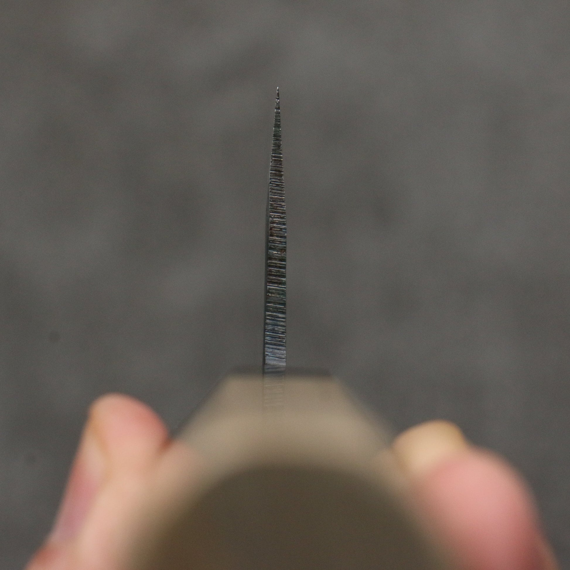 清助 青スーパー鋼 黒仕上げ 切付牛刀包丁 210mm 朴 (口輪:黒檀)柄 - 清助刃物