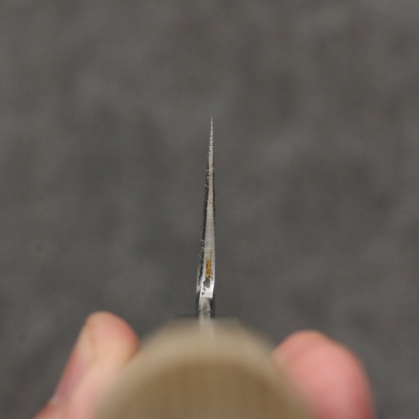 堺 孝行 窪田金彫刻 富士と夕焼 青ニ鋼 牛刀包丁 210mm 朴 (口輪:水牛)柄 - 清助刃物