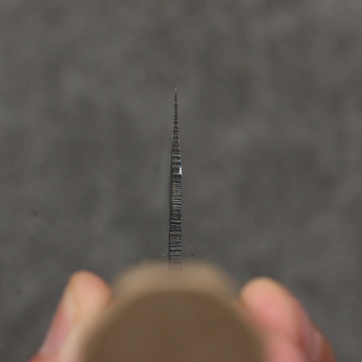 清助 青一鋼 黒仕上げ 牛刀包丁 210mm 朴 (口輪:黒檀)柄 - 清助刃物