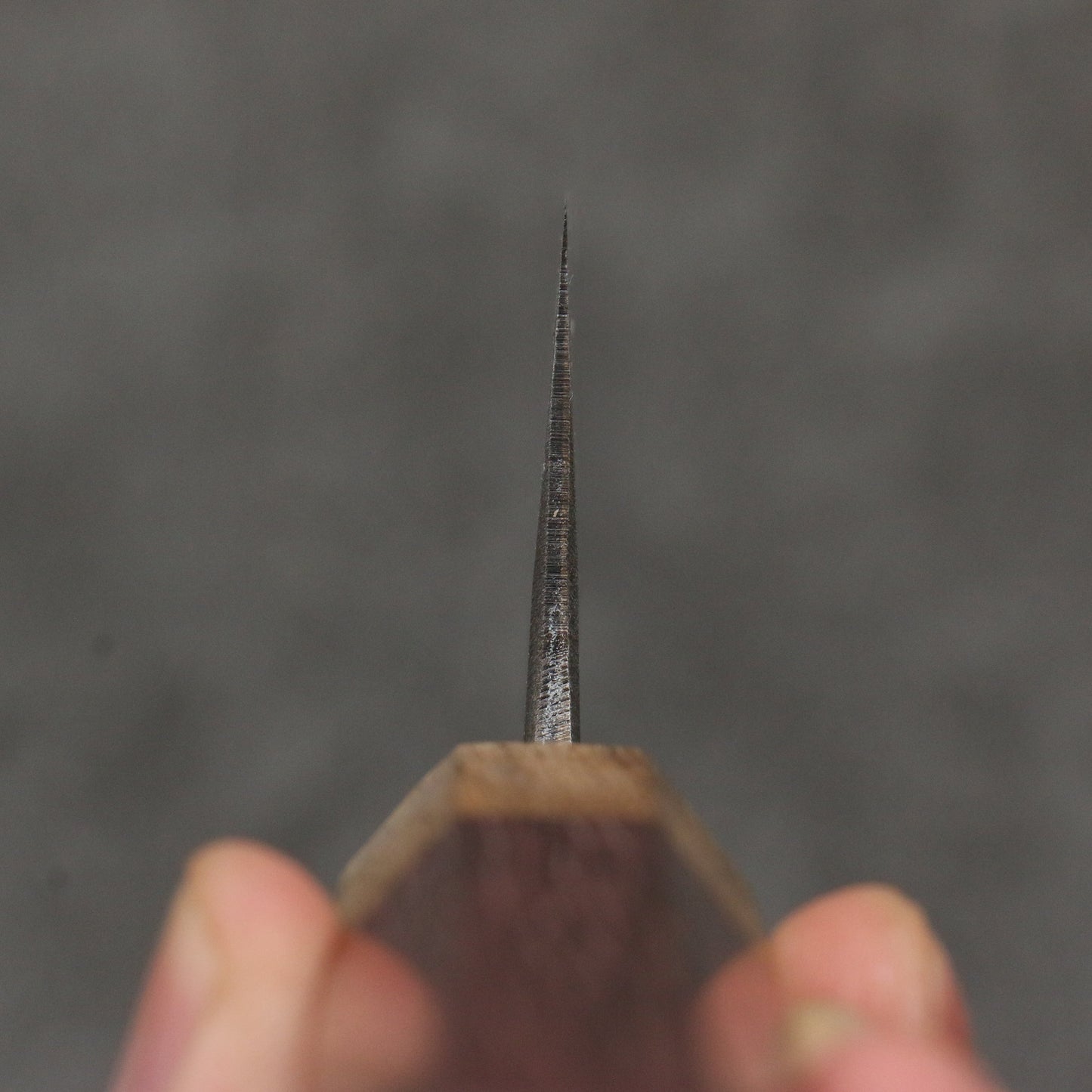 清助 青ニ鋼 黒仕上げ 三徳包丁 170mm パープルハート (口輪:樫)柄 - 清助刃物