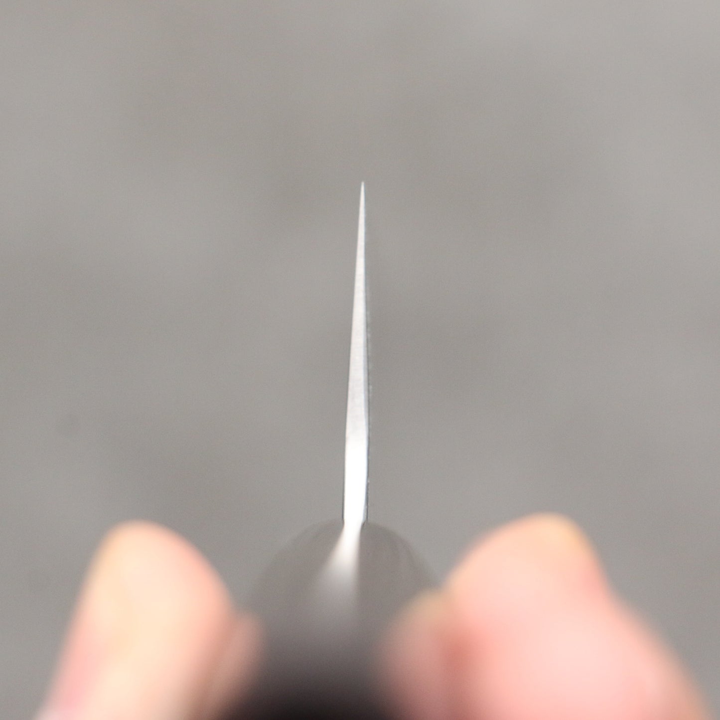 尾形 峻吾 SG2 磨き仕上げ 筋引包丁 240mm 紫檀 (口輪:黒合板)柄 - 清助刃物