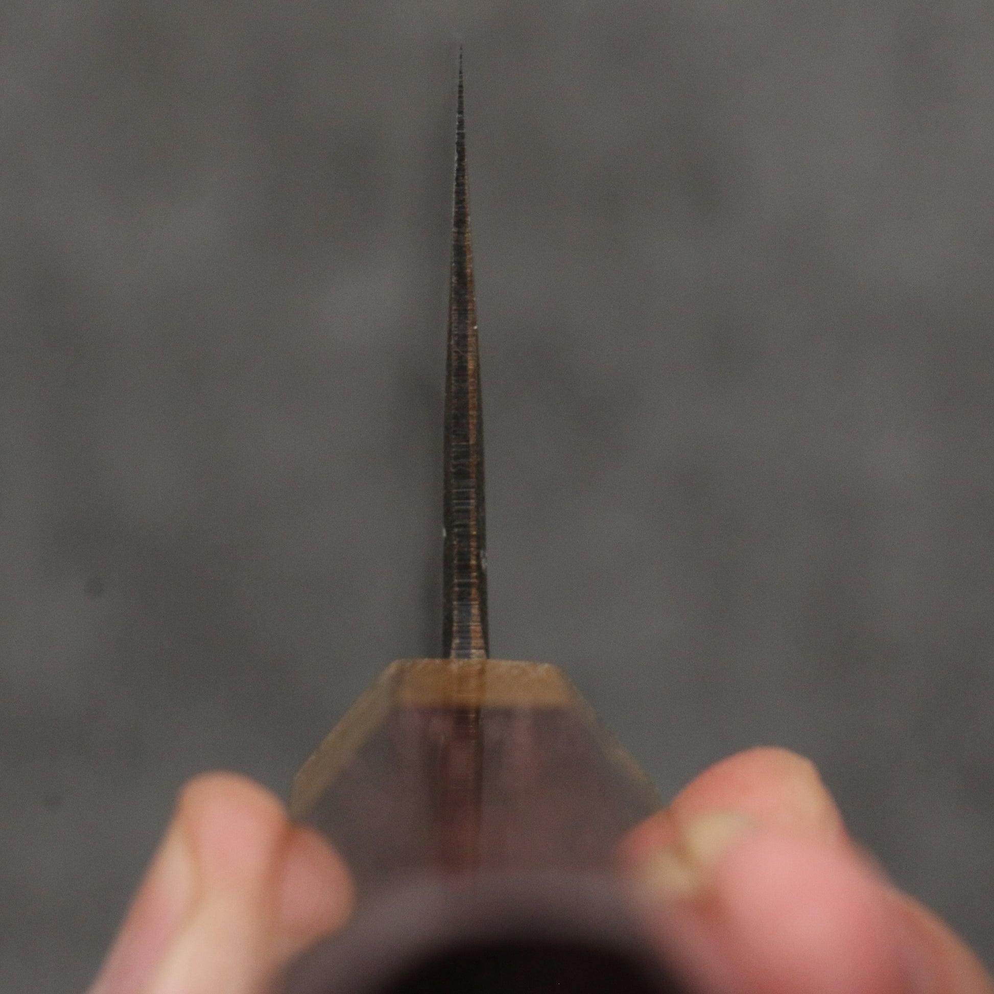 清助 青ニ鋼 黒仕上げ 菜切包丁 165mm パープルハート (口輪:樫)柄 - 清助刃物