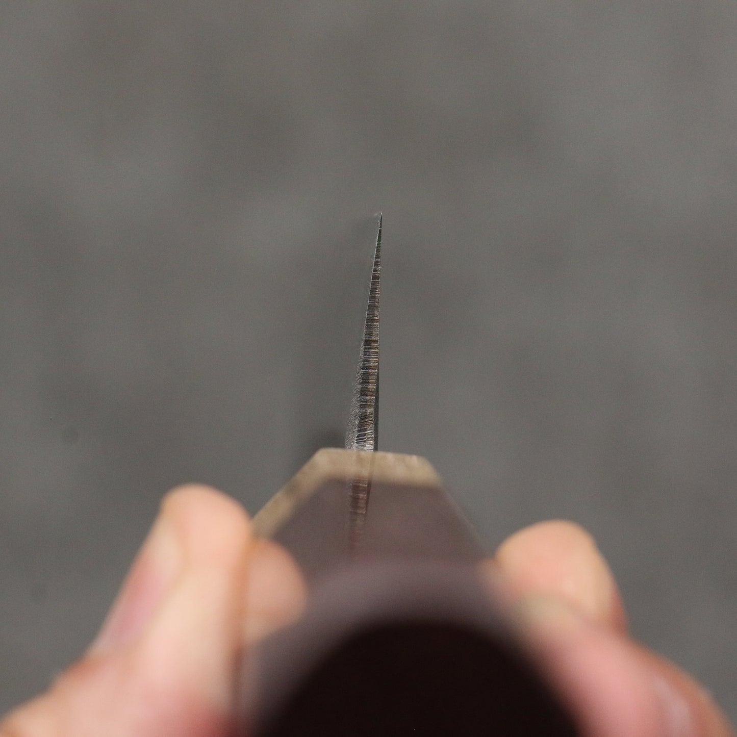 清助 青ニ鋼 黒仕上げ 切付ペティナイフ 150mm パープルハート (口輪:樫)柄 - 清助刃物