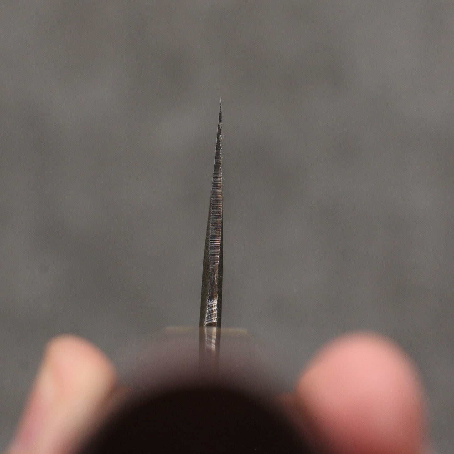 清助 青ニ鋼 黒仕上げ 切付牛刀包丁 240mm パープルハート (口輪:樫)柄 - 清助刃物