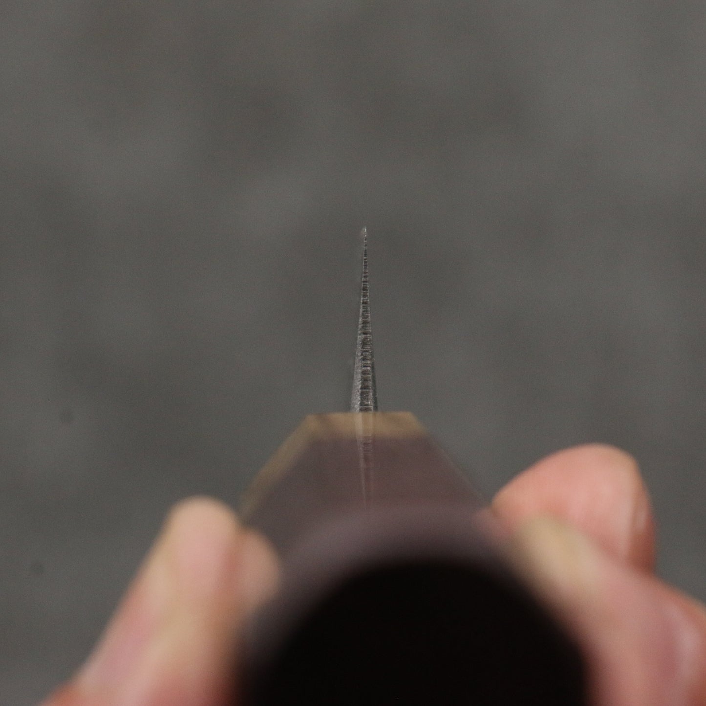 清助 青ニ鋼 黒仕上げ 切付ペティナイフ 120mm パープルハート (口輪:樫)柄 - 清助刃物