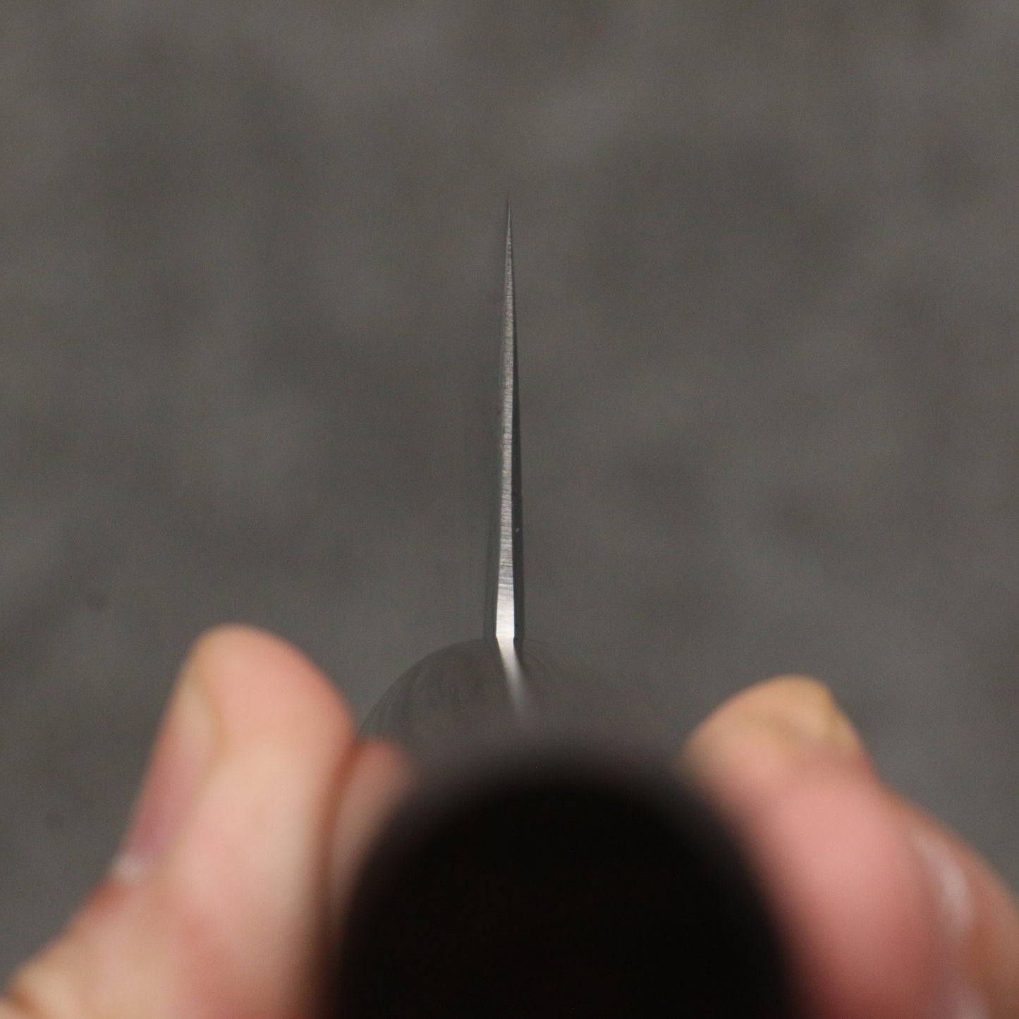 清助 SRS13 磨き仕上げ 切付牛刀包丁 210mm 紫檀 (口輪:黒合板)柄 - 清助刃物