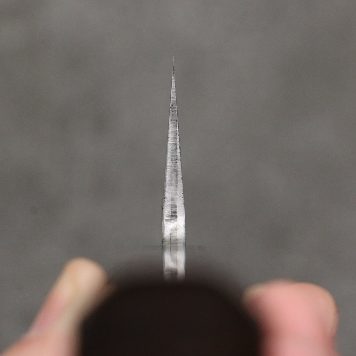 田中 誠貴 鉄火 青ニ鋼 黒打 切付牛刀包丁 210mm ウォルナット柄 - 清助刃物