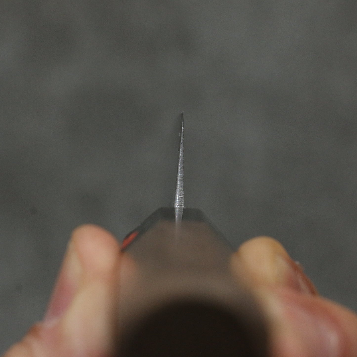 田中 誠貴 春風 SG2 ダマスカス ペティーナイフ 150mm ウォルナット柄 - 清助刃物