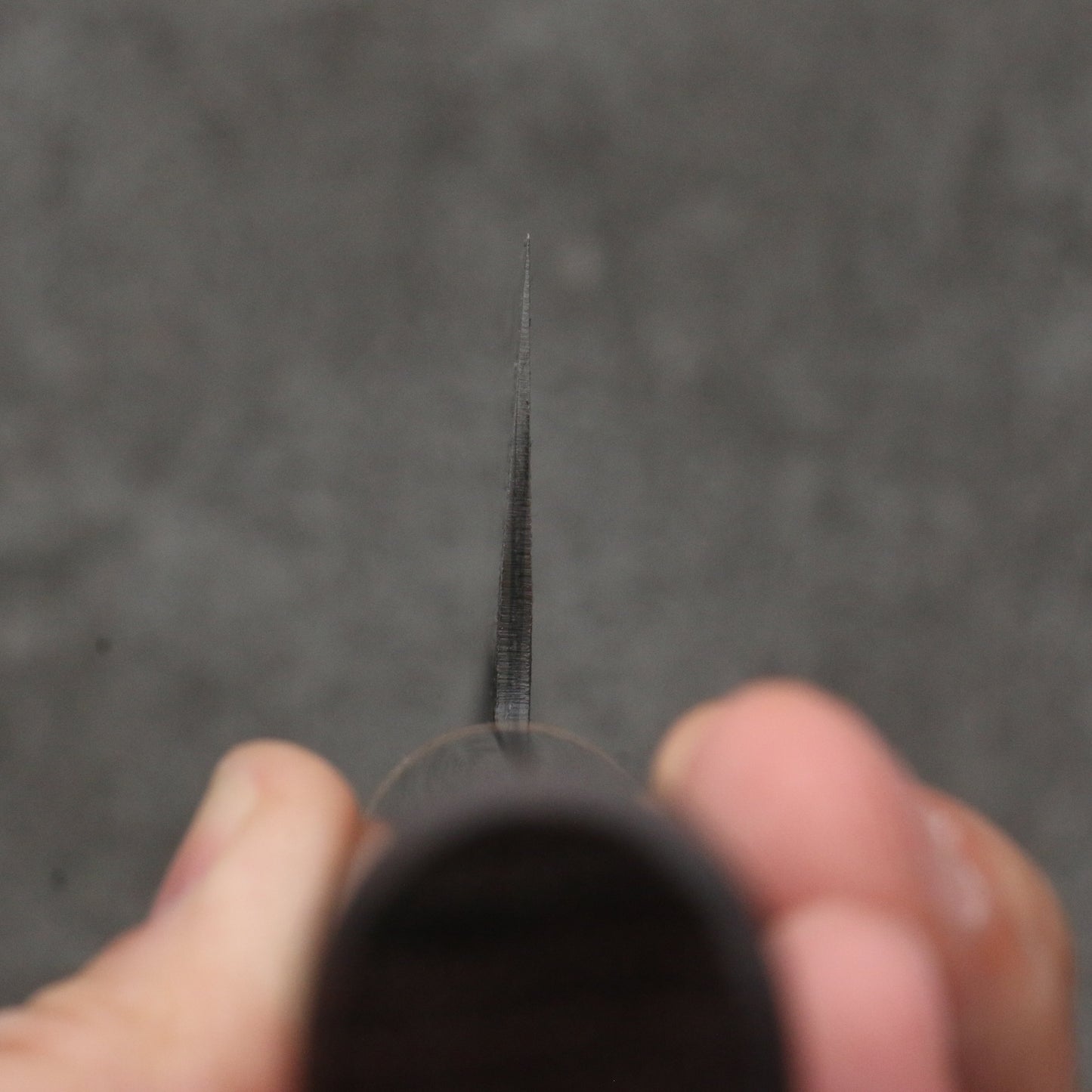 清助 青スーパー鋼 鎚目 切付牛刀包丁 240mm 紫檀 (口輪:白合板)柄 - 清助刃物