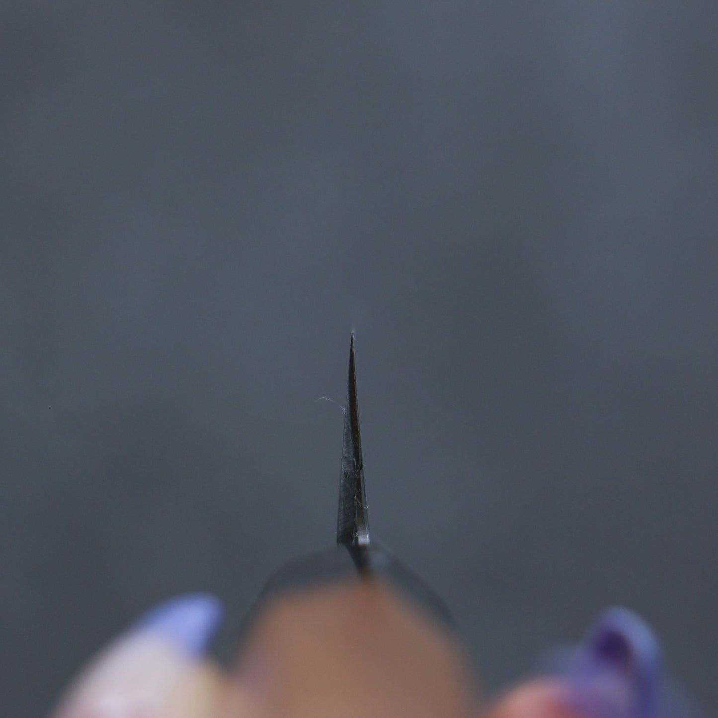 鐵泉 田中作 玉鋼 ペティーナイフ  145mm イチイ柄 - 清助刃物