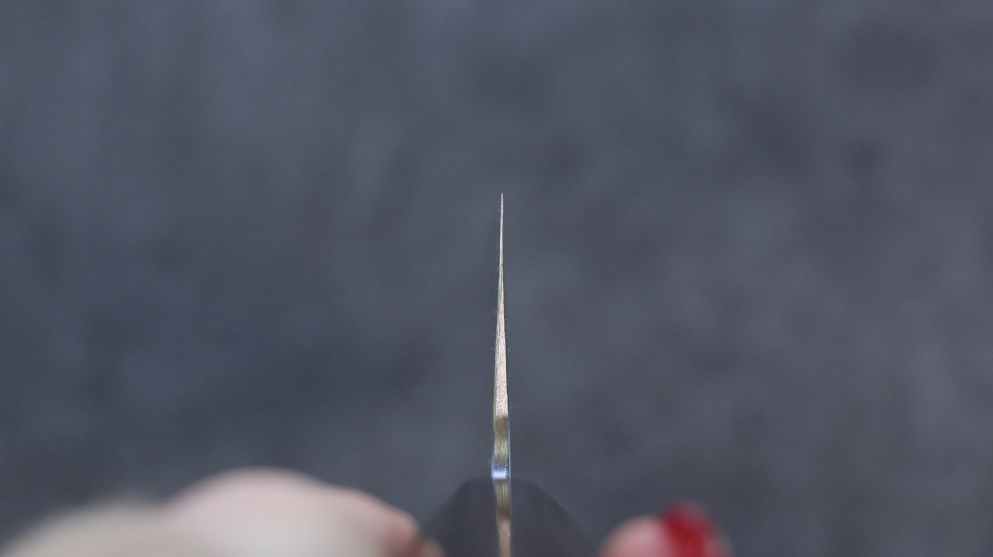 山本 直 SG2 黒ダマスカス 牛刀包丁 270mm 紫檀柄 - 清助刃物