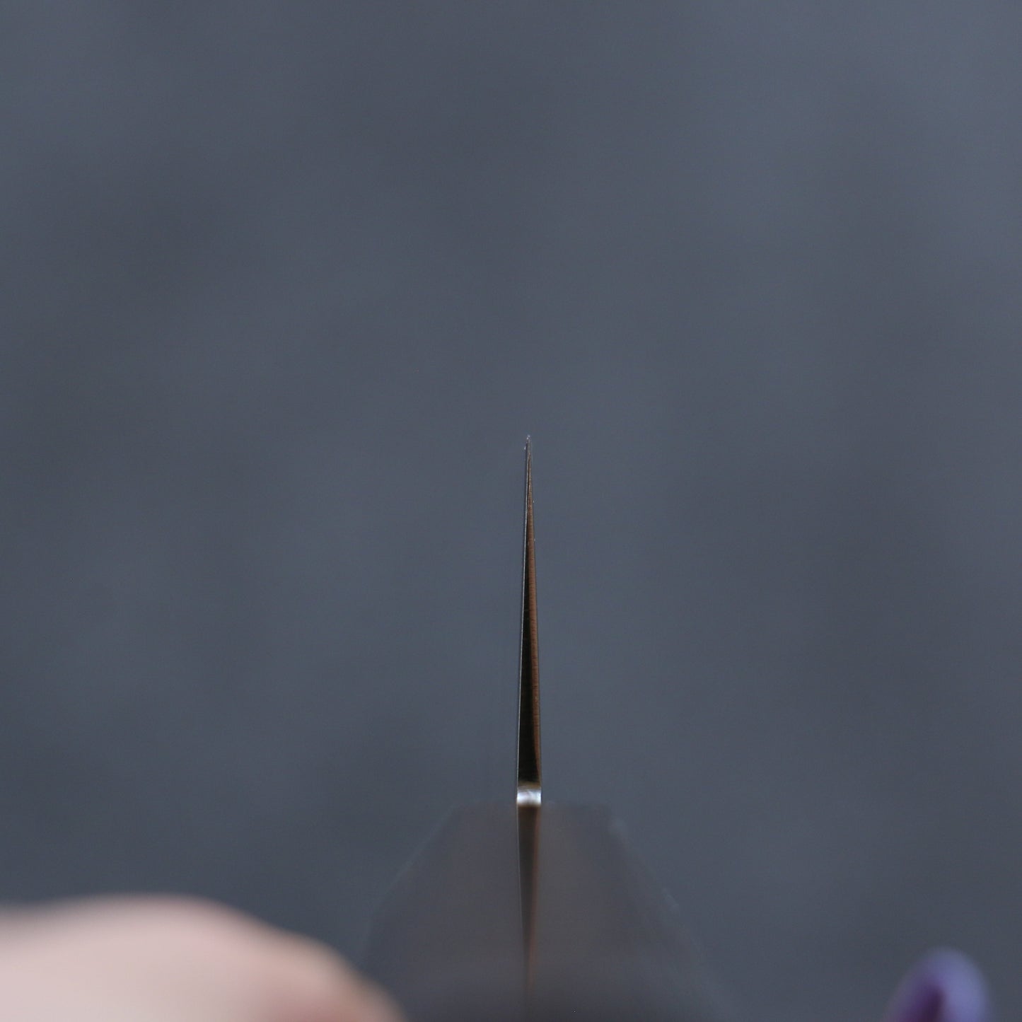 兼常 一途 V金10号 筋引包丁 240mm 茶合板柄 - 清助刃物