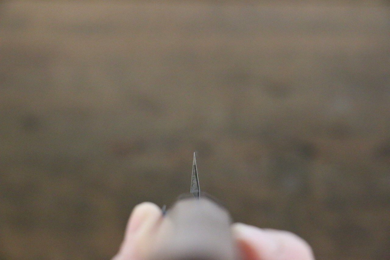 田中 誠貴 V金10号 先丸蛸引包丁 270mm ウォルナット柄 - 清助刃物