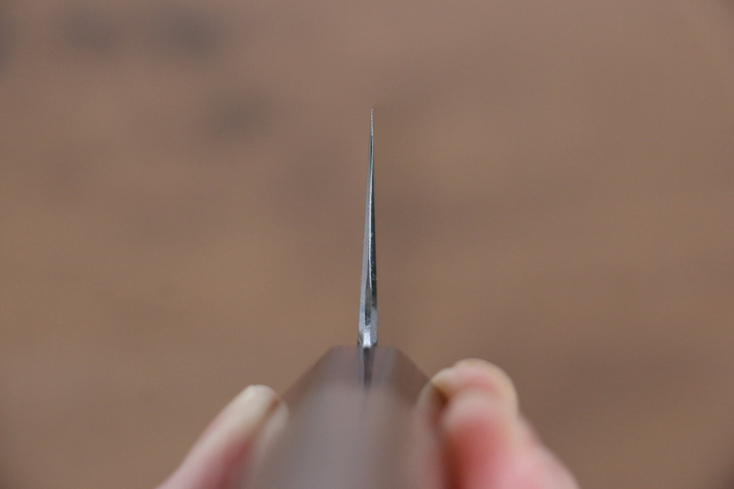 明神直人 SG2 牛刀包丁 210mm ウォルナット柄 - 清助刃物