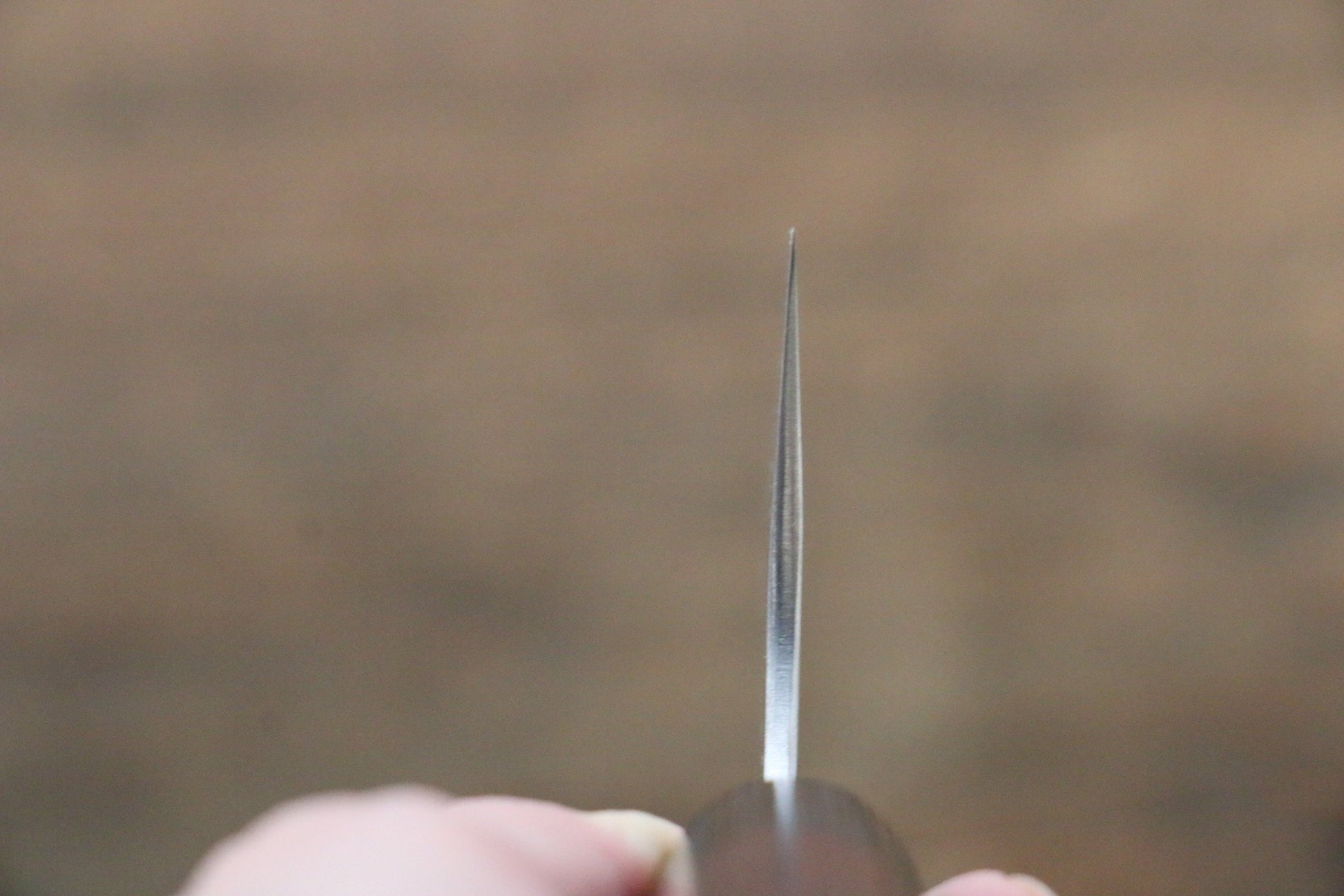 尾形 峻吾 SG2 黒打 黒仕上げ 牛刀包丁  210mm 紫檀柄 - 清助刃物