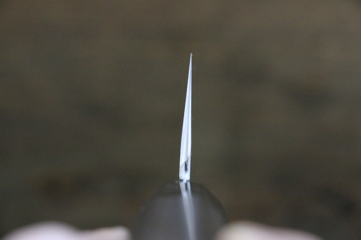 堺 菊守 V金10号 鏡面仕上げ 牛刀包丁 240mm 黒檀柄 - 清助刃物