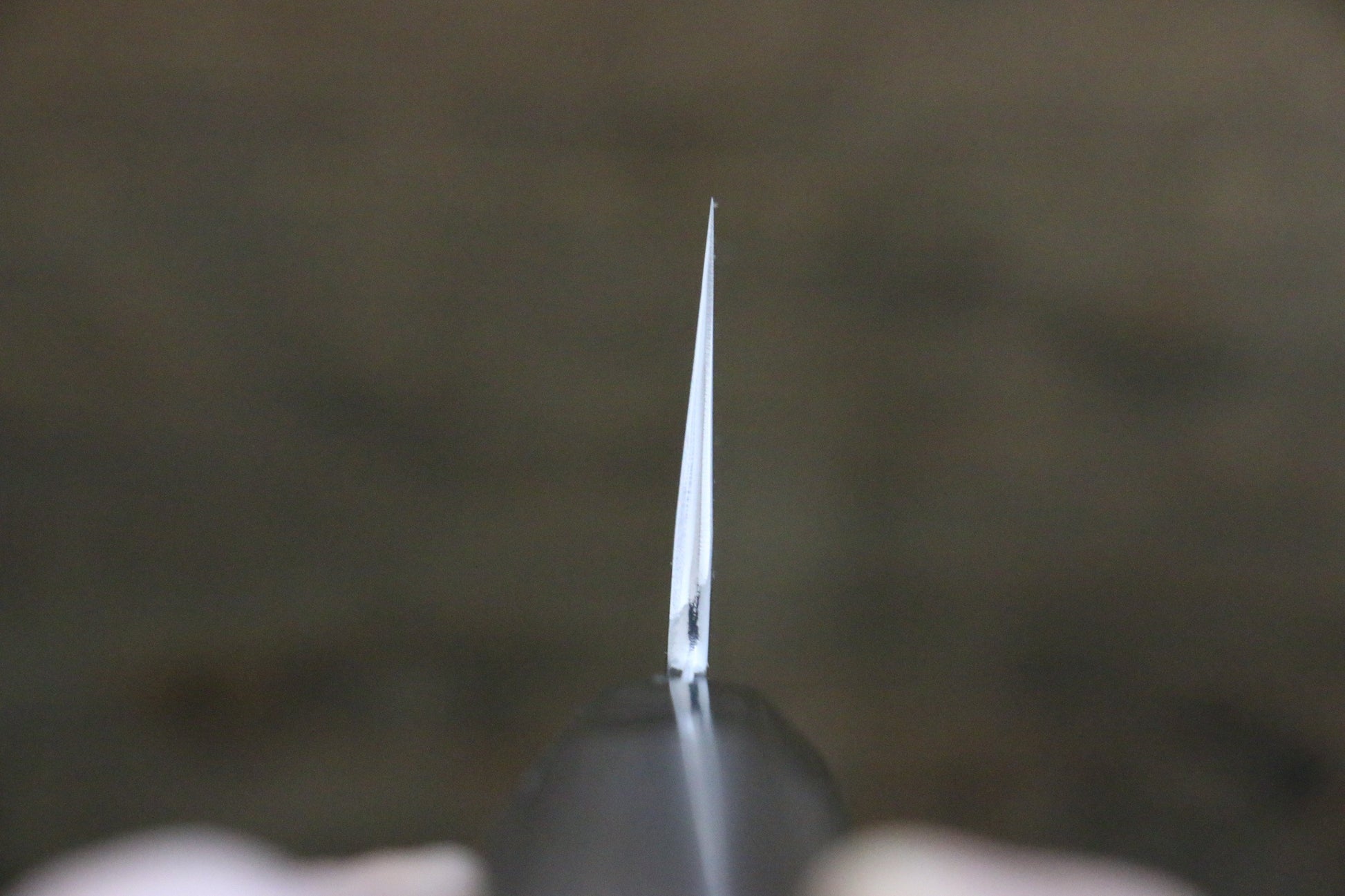 堺 菊守 V金10号 鏡面仕上げ 牛刀包丁 240mm 黒檀柄 - 清助刃物