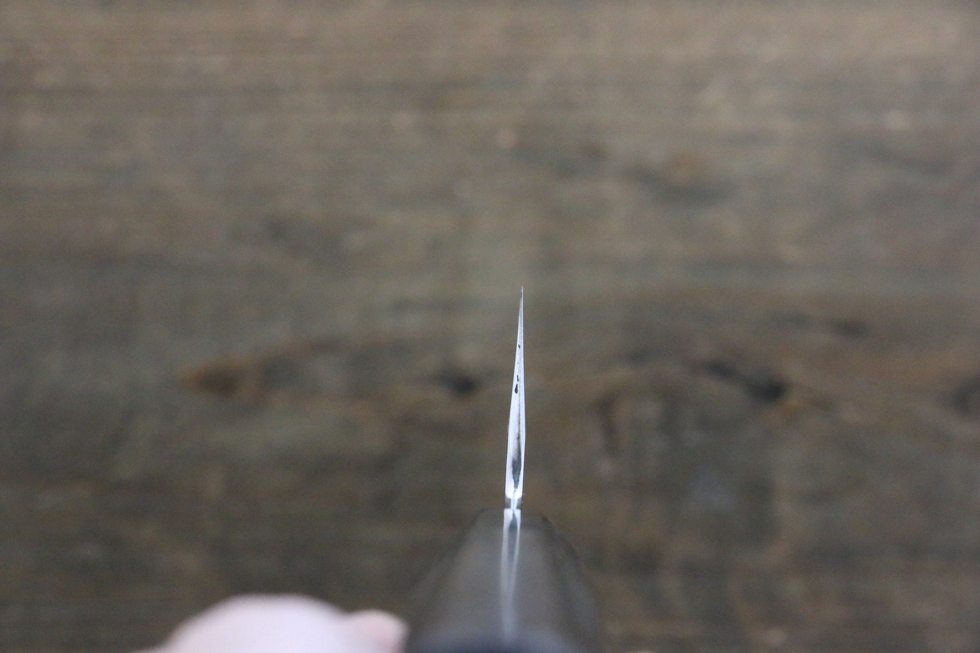 堺 菊守 V金10号 鏡面仕上げ 三徳包丁 180mm 黒檀柄 - 清助刃物