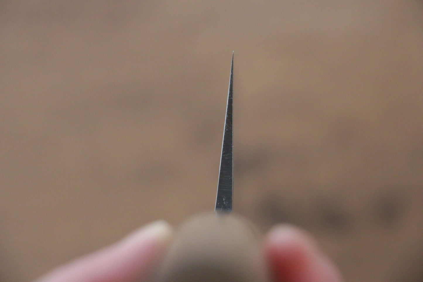 清助 青ニ鋼 梨地 牛刀包丁 240mm 栗柄 - 清助刃物