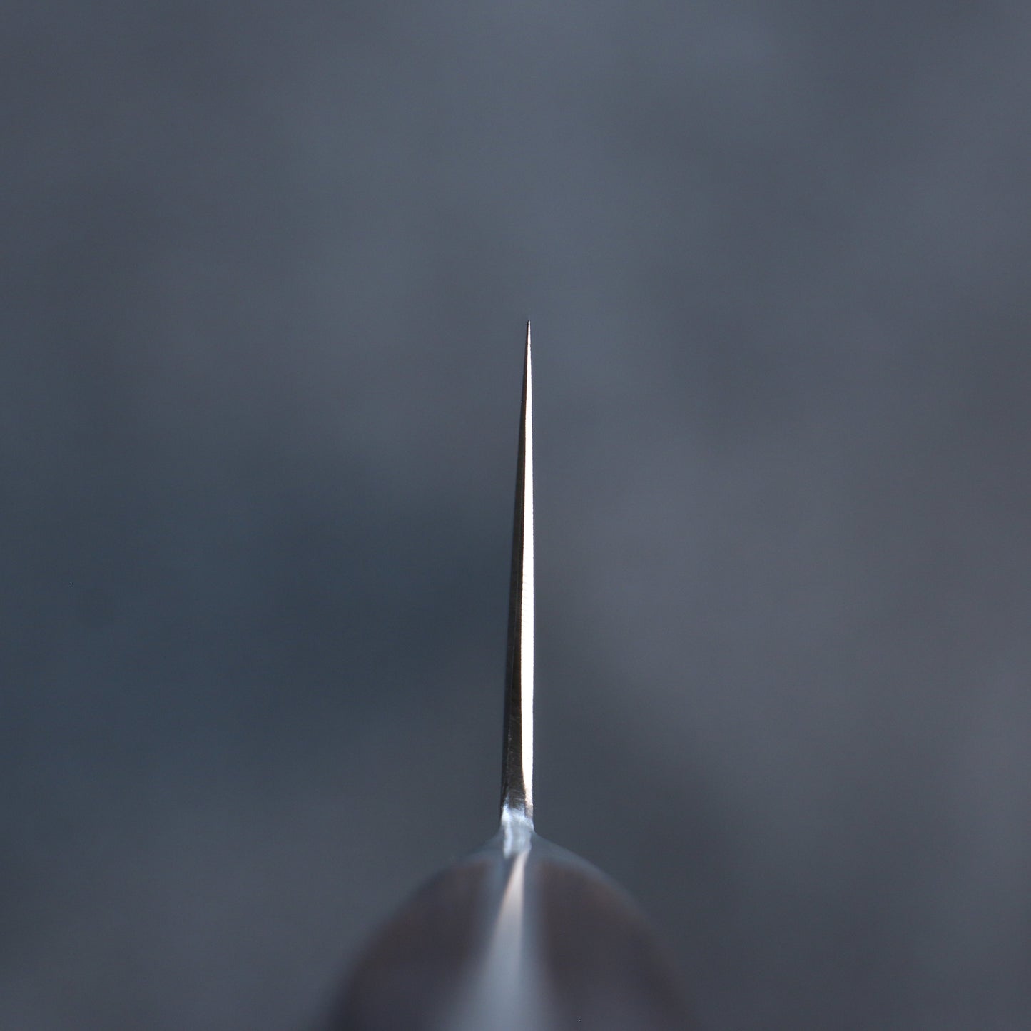 清助 SG2 牛刀包丁 270mm マホガニー柄 - 清助刃物