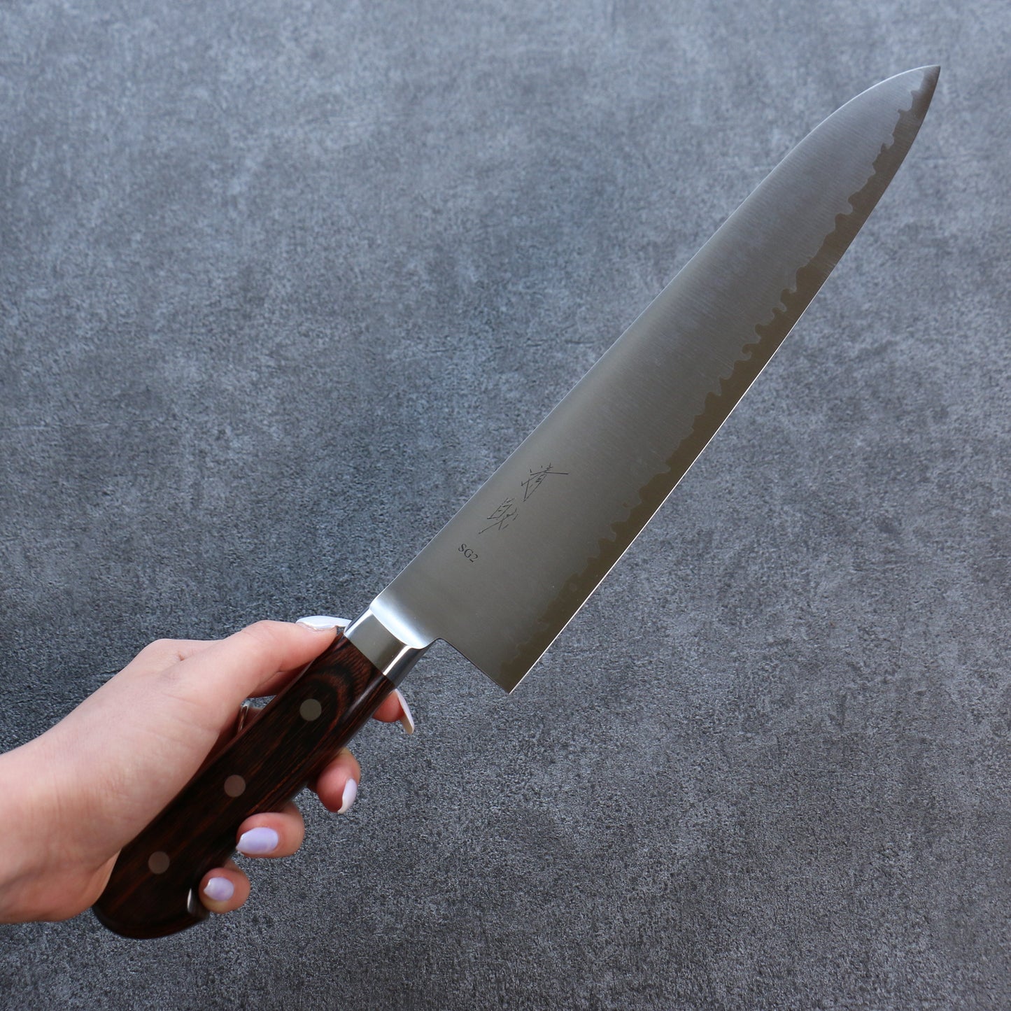清助 SG2 牛刀包丁 270mm マホガニー柄 - 清助刃物
