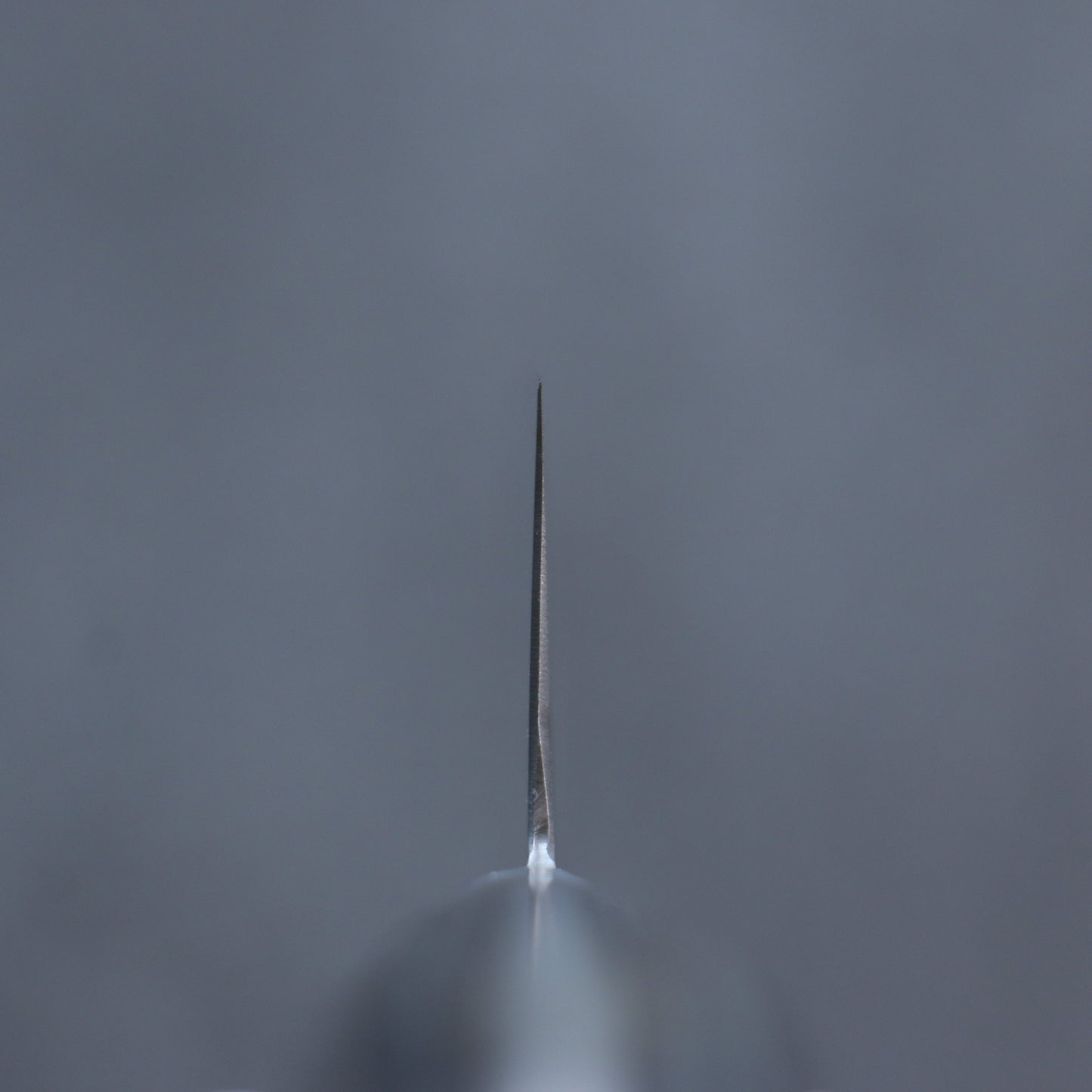 清助 SG2 鎚目 牛刀包丁 210mm グレー合板柄 - 清助刃物