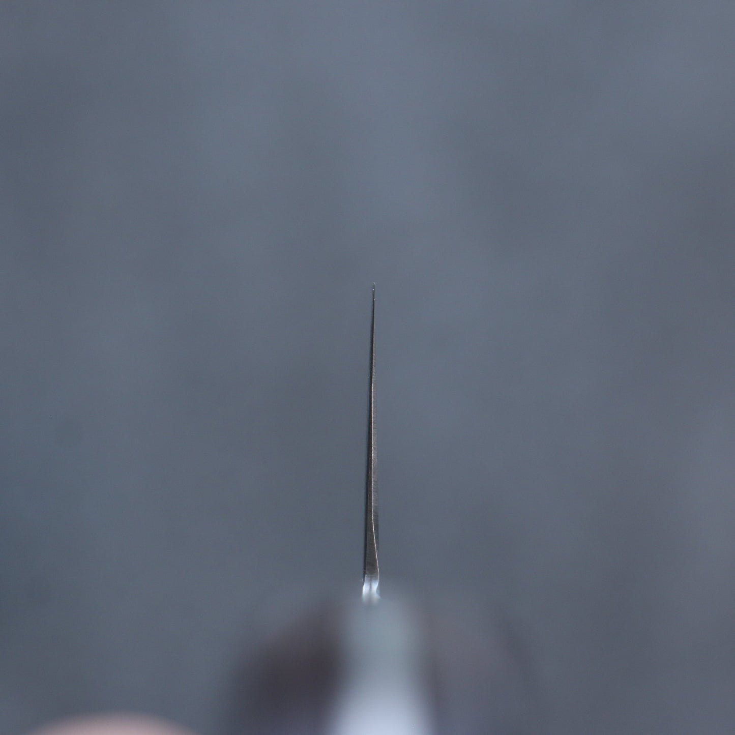 清助 SG2 鎚目 牛刀包丁 210mm マホガニー柄 - 清助刃物